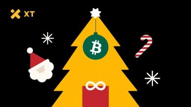 unwrap-$1,000,000-in-holiday-magic-with-xt.com!