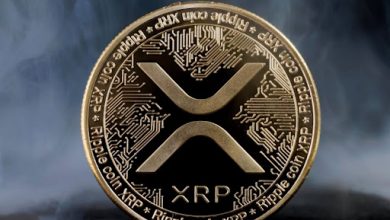 xrp-price-experiences-volatility-as-ripple-whales-flock-to-xrpturbo’s-presale