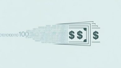what-is-information-usage-fee-cash-conversion?-beginner's-guide