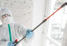 understanding-mold-remediation:-protecting-your-home-and-health